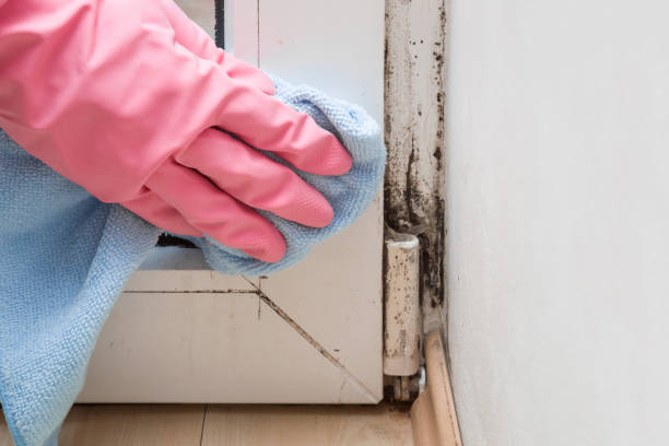 Water Damage Restoration in Frazee, MN